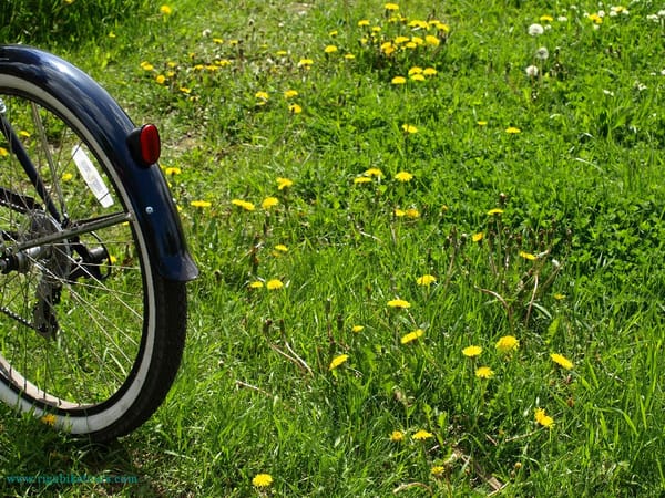 Rudens velobrauciens '13 Ogre - Sigulda